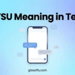 stsu mean in text